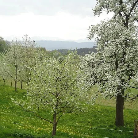 Kollehof Apartment