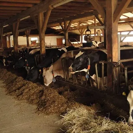 Apartamento Kollehof *