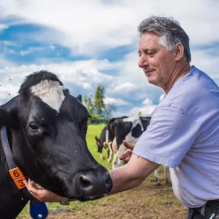 Apartamento Kollehof *