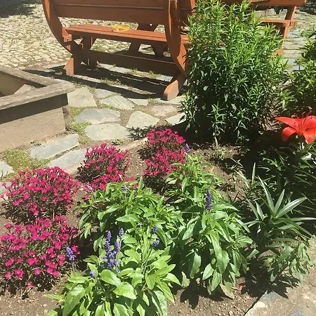 Apartment Kollehof *