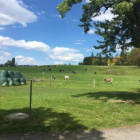 Kollehof * Krumpendorf