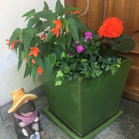 Kollehof *