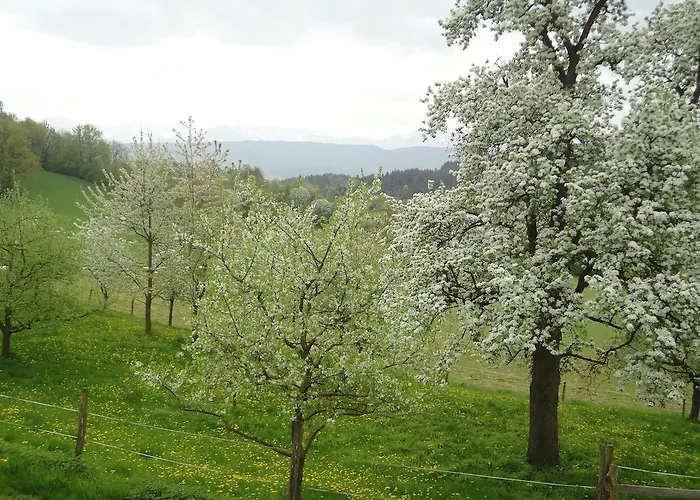 Kollehof Апартаменты