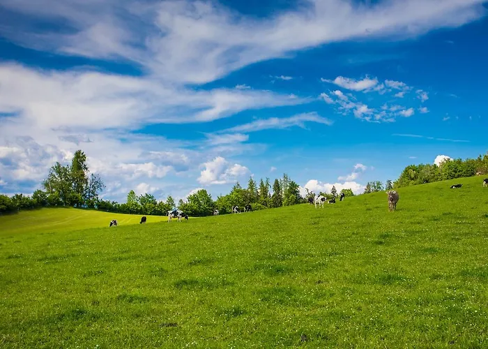 Kollehof Крумпендорф