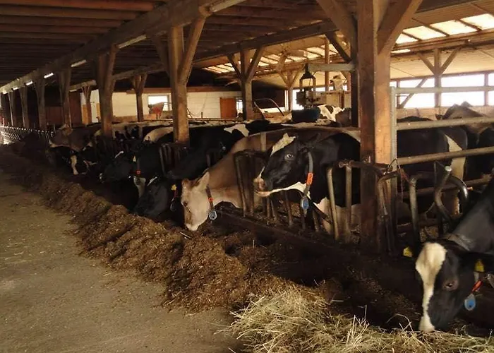 Апартаменты Kollehof *