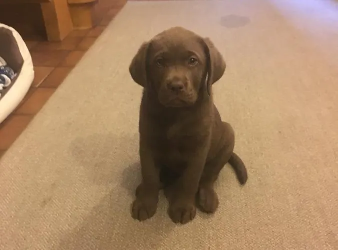 Kollehof Апартаменты Крумпендорф