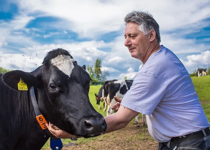 Апартаменты Kollehof *