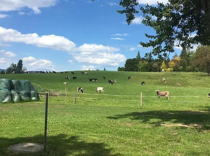 Kollehof * Krumpendorf